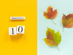september 10 in blocks next to leaves
